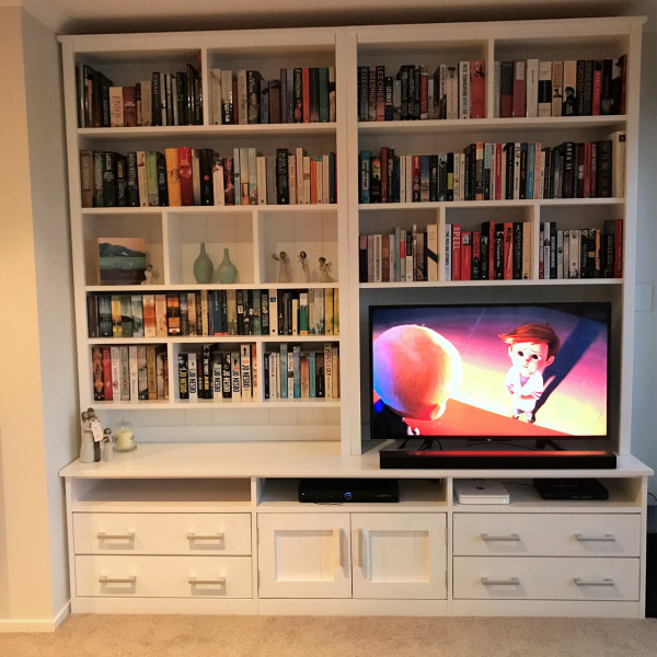 Custom TV Unit(W21)