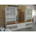 Custom TV Unit(W9)